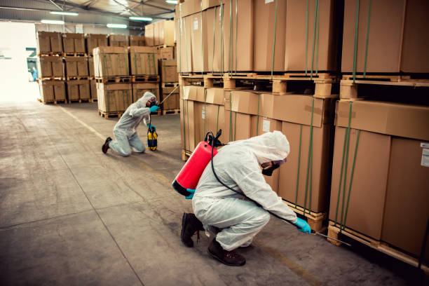 Best Termite Control Services  in Gibsonia, PA